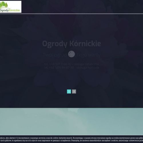 Poznań - zakładanie terenów zielonych